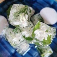 茉莉花冰