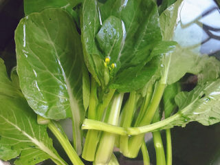 3、云吞面,菜心放在盐水中浸泡