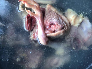 1、陈皮乳鸽汤,乳鸽清洗干净,剁小块冷水下锅。