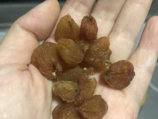 6、牛奶炖桃胶,没有新鲜桂圆，就用干桂圆吧，也挺好的。