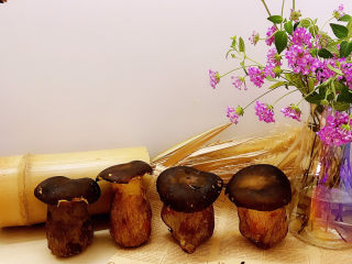 1、牛肝菌焖鸡,4个小胖子排排坐