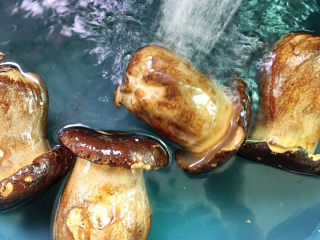 2、牛肝菌焖鸡,来来来冲个凉