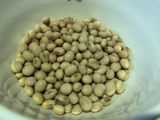1、黄豆猪蹄汤,准备黄豆