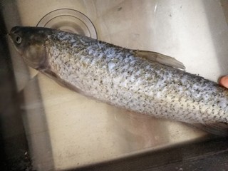 1、红烧草鱼,草鱼一条，去鳃去鳞去内脏，清洗干净。