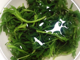 6、艾草煎蛋,过冷水