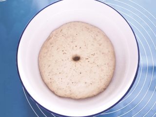 14、芝士榴莲饼,面团饧发好了