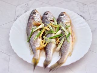 6、豆皮黄花鱼,这个时候在黄花鱼身上撒上葱姜丝,用手抓匀腌制10分钟左右。