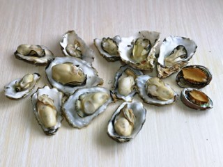 7、清蒸生蚝,依次掰开并处理好了内脏,用手拿着贝壳,一个一个的冲洗干净。