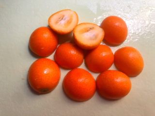 5、果茶,金桔也是用盐搓洗表皮，搓洗干净以后，对半切开待用。