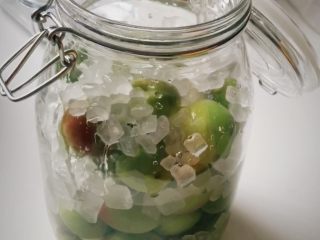 2、青梅子酒,青梅冰糖放入罐子里时，一层青梅，一层冰糖慢慢铺垫，当然你要粗暴地把全部青梅放完再放冰糖进去，我也是没有意见的。最后白酒慢慢灌入瓶中，密封保存即可