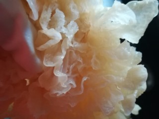 6、女人养颜美容的圣品，银耳桃胶红枣羹,发好的银耳