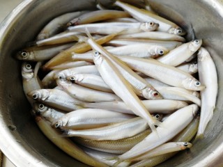 1、香炸胡瓜鱼,胡瓜鱼科,俗称黄瓜鱼,超级新鲜。