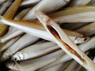 2、香炸胡瓜鱼,平时栖息于水温低,水质清晰的江口淡水区。不用开膛,肚子里面很干净,