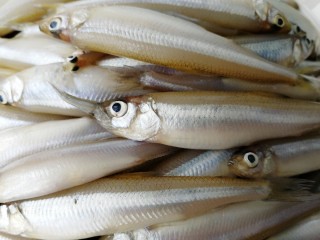 3、香炸胡瓜鱼,大鱼吃小鱼,肉质细嫩,脂肪含量高。