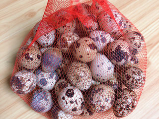 1、红烧鹌鹑蛋,准备好鹌鹑蛋。