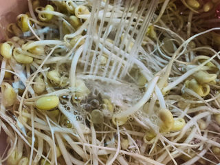 2、清炒黄豆芽,用水清洗干净