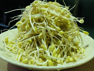 3、清炒黄豆芽,捞起、沥干水，装盘待用