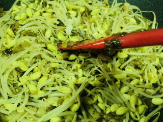 15、清炒黄豆芽,翻炒均匀调料