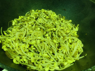 16、清炒黄豆芽,起锅