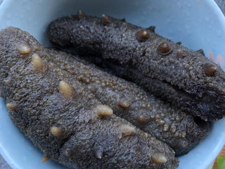 1、葱油烧海参,海参已经泡发好的,冰箱冷冻保存的,吃了随时取出回温即可。