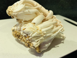 2、素炒白玉菇,取一盒，剪根