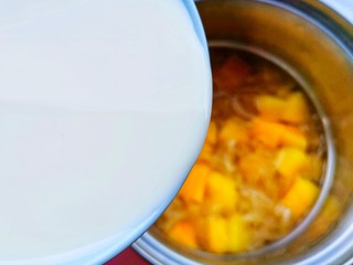 12、木瓜炖牛奶,放温后倒入牛奶。