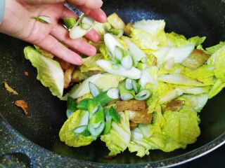 12、白菜炒豆腐,放入葱花