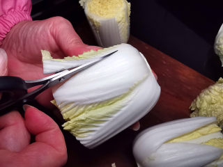 4、金汤娃娃菜,用一把锋利小剪刀修剪菜帮子