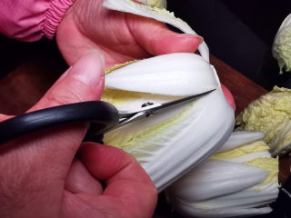 5、金汤娃娃菜,修剪成莲花花瓣模样