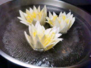 22、金汤娃娃菜,补一张出水芙蓉照片