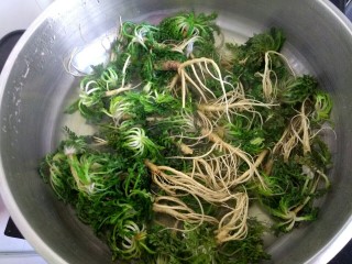 6、玉米面荠菜鸡蛋馅煎饺,锅中放入适量清水,烧开后放入荠菜烫一下