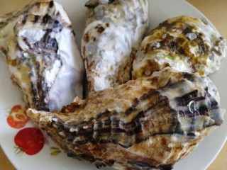 1、清蒸生蚝,新鲜生蚝。