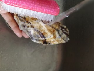 2、清蒸生蚝,刷洗生蚝外壳。