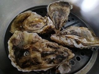 11、清蒸生蚝,水开放入生蚝。
