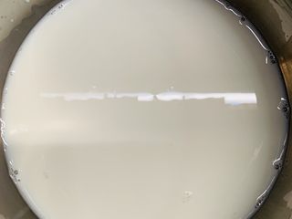 5、木瓜奶冻,然后再倒回刻度容器里。按照自己挑选木瓜的大小用奶和玉米淀粉10:1的比例就可以啦，多一点大概也行的，不会影响太多。