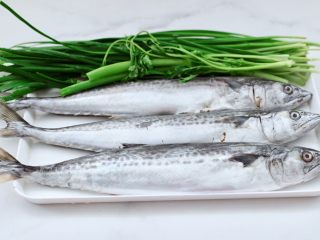 1、烟台正宗鲅鱼饺子,首先备齐包鲍鱼饺子的食材，鲅鱼必须要用新鲜的哟，冻鲅鱼会影响口感的，吃着会有腥味的哟。