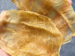 2、花胶的泡发,准备2头14克的干花胶。