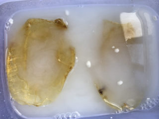 5、花胶的泡发,花胶浸入面粉水中。