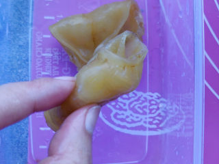 10、花胶的泡发,蒸好的花胶收缩卷曲，捏起来已经是有点粘手了，胶原蛋白啊都是。