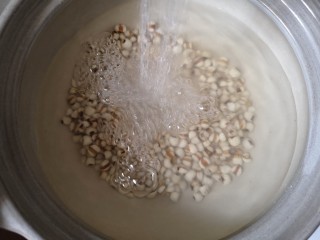 4、柠檬薏米水,将薏米洗净。