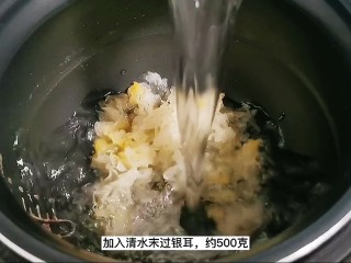 7、木瓜炖牛奶,加入清水