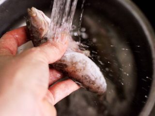 3、酱焖黄鱼粉条,把黄鱼先去除内脏后，再用自来水反复冲洗干净，沥干水分。