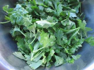 2、蒸芹菜叶,晾干表面水分,不要太多水在上面