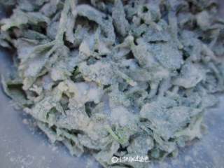 8、蒸芹菜叶,蒸好的芹菜出锅,抖散,不热的时候,加入少许食盐调味