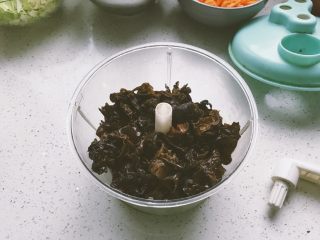 8、素什锦水饺,木耳，包菜，胡萝卜分别放到饺子馅儿神器中搅碎
