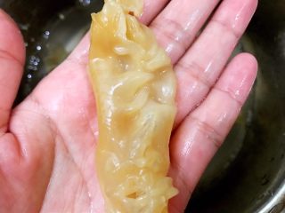 5、养颜玫瑰花胶牛奶冻,切两片姜加入纯净水，把蒸好的花胶放冰箱泡发8到16个小时（期间换一次水）