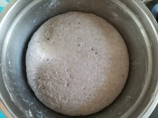 7、纯手工黑芝麻馒头,发酵至原来的2倍大小