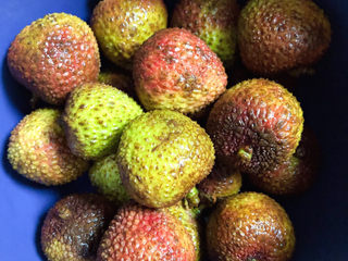 1、荔枝罐头,准备好荔枝，洗干净待用。