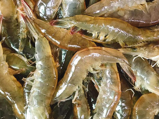 3、椒盐虾,控干水份