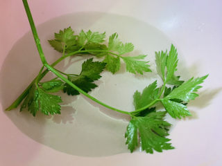 7、手撕鸡胸肉,洗净，用凉开水再洗下；